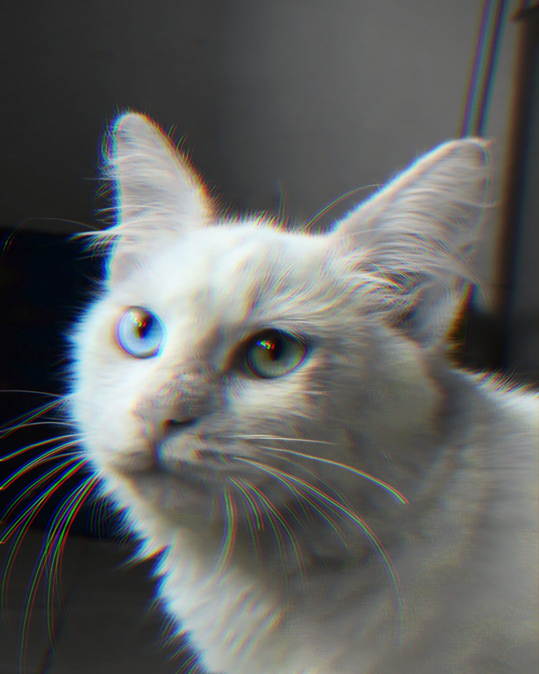 SpotShift Mono exposure 001